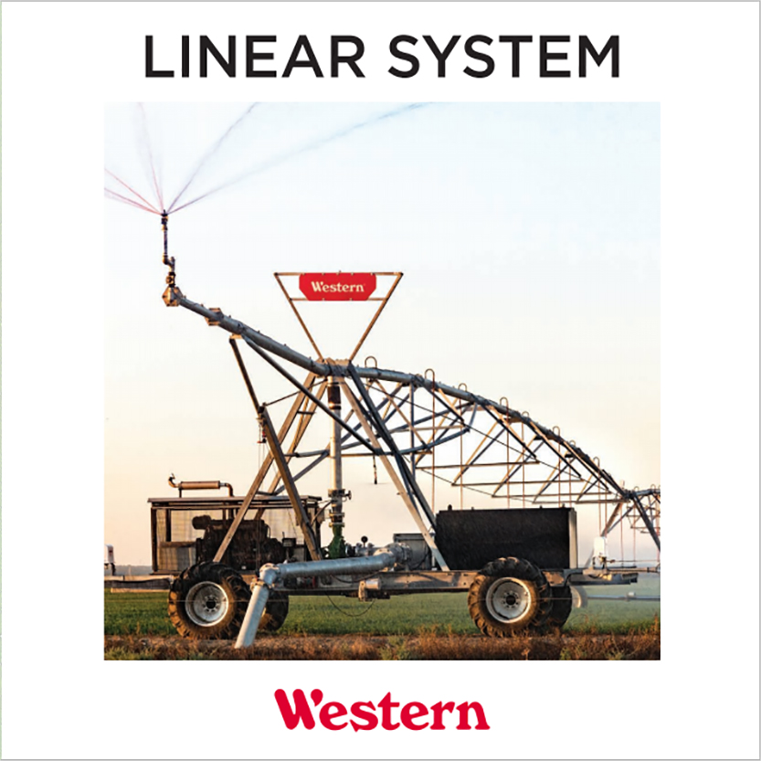 Linear System