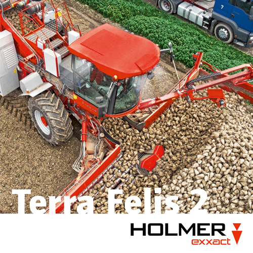 HOLM101-065 Terra Felis E RZ72